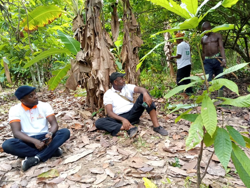 Jean Delmas Ehui – Mission terrain filière agricole